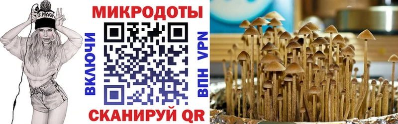 где найти   Балей  MEGA ССЫЛКА  Псилоцибиновые грибы Psilocybe 
