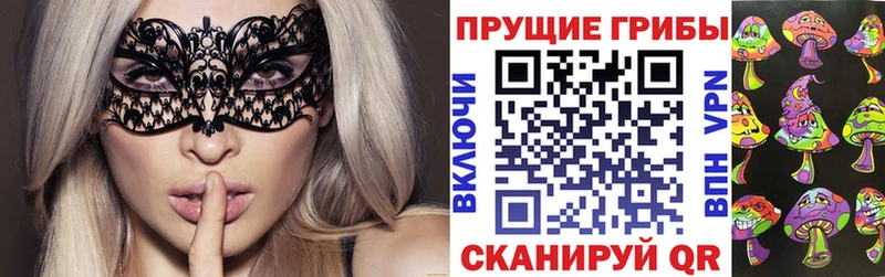 Псилоцибиновые грибы мицелий Балей